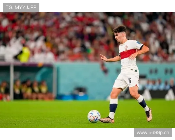 维蒂尼亚 vs 罗德里:在控场与转换中的核心稳定性差异何在?